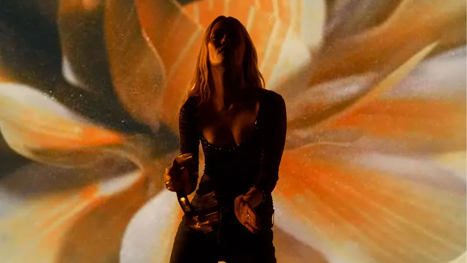 Visuel de « Concert de Vanessa Paradis à Lyon », publié par OL Vallée